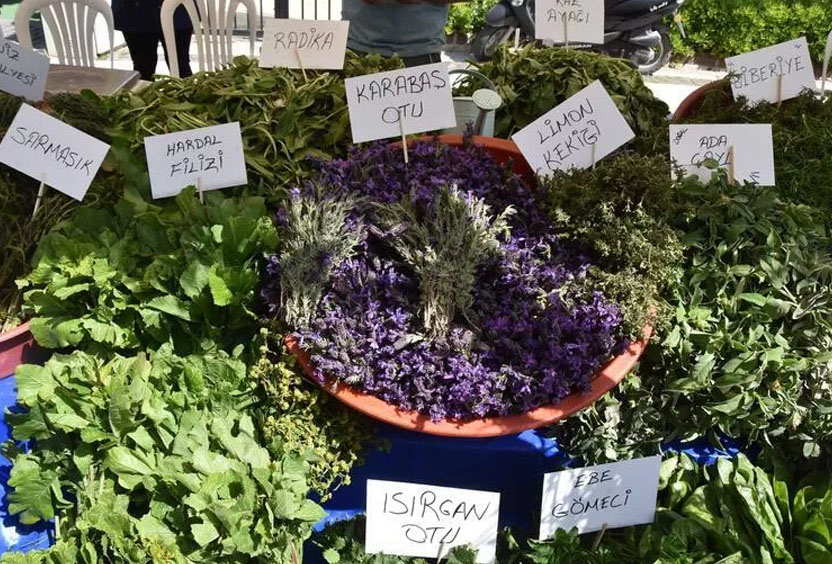 Alaçatı Herb Festival