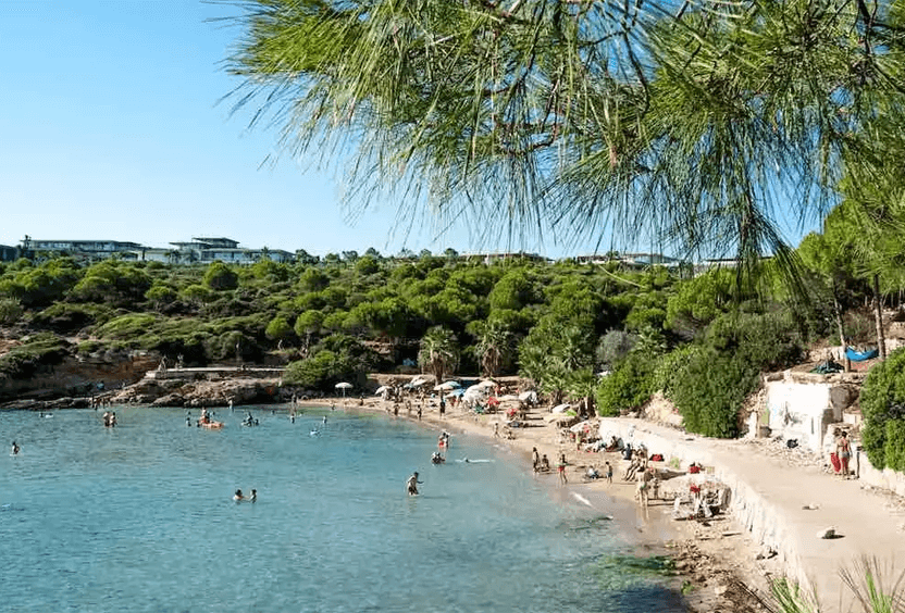 Ekmeksiz Plajı’na Nasıl Gidilir?